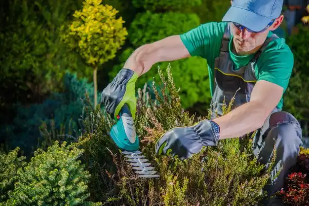 landscaping services Verona